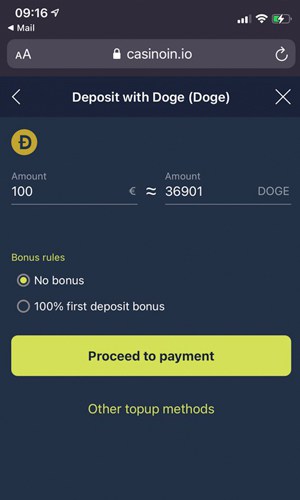 amount deposit doge payment screenshot