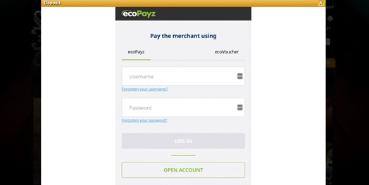 ecopayz account payment screenshot